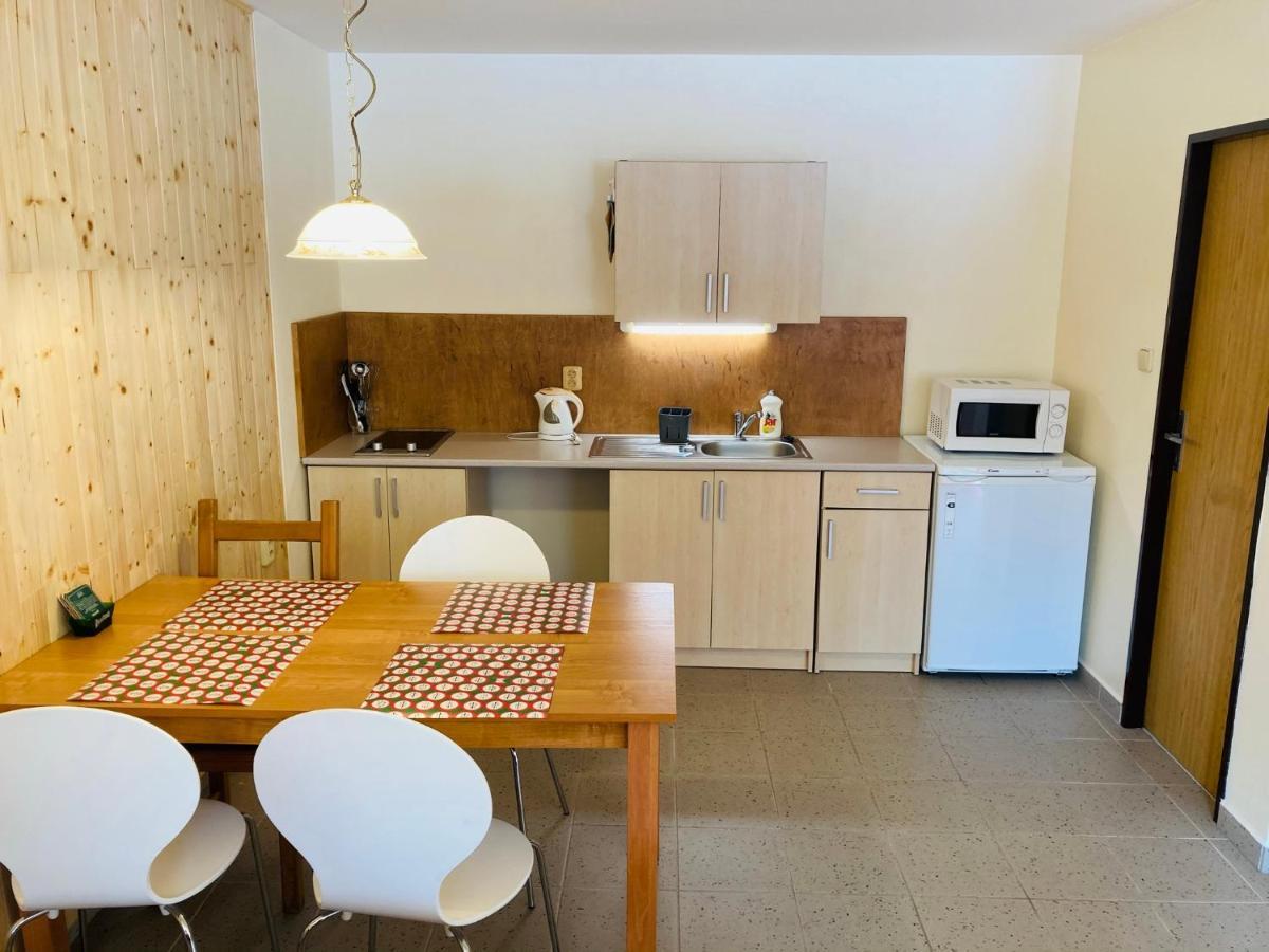 Studia Pod Lysou Apartman Rokytnice nad Jizerou Kültér fotó