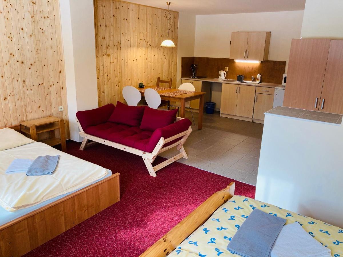 Studia Pod Lysou Apartman Rokytnice nad Jizerou Kültér fotó