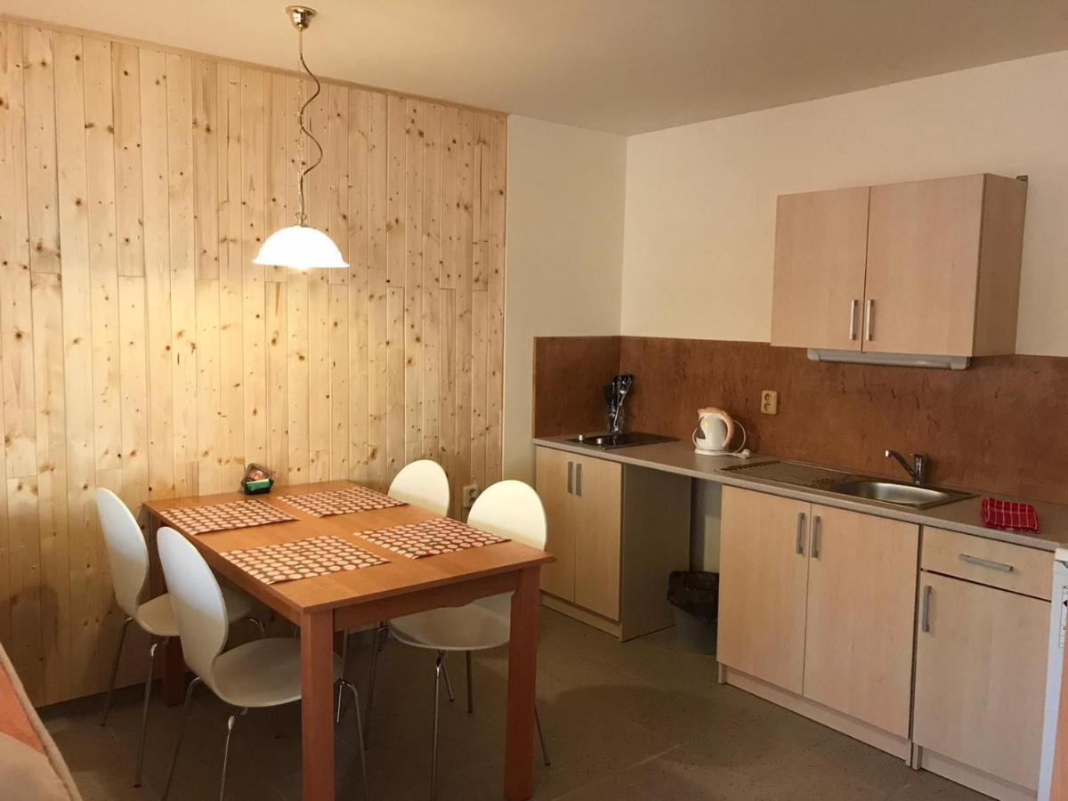 Studia Pod Lysou Apartman Rokytnice nad Jizerou Kültér fotó