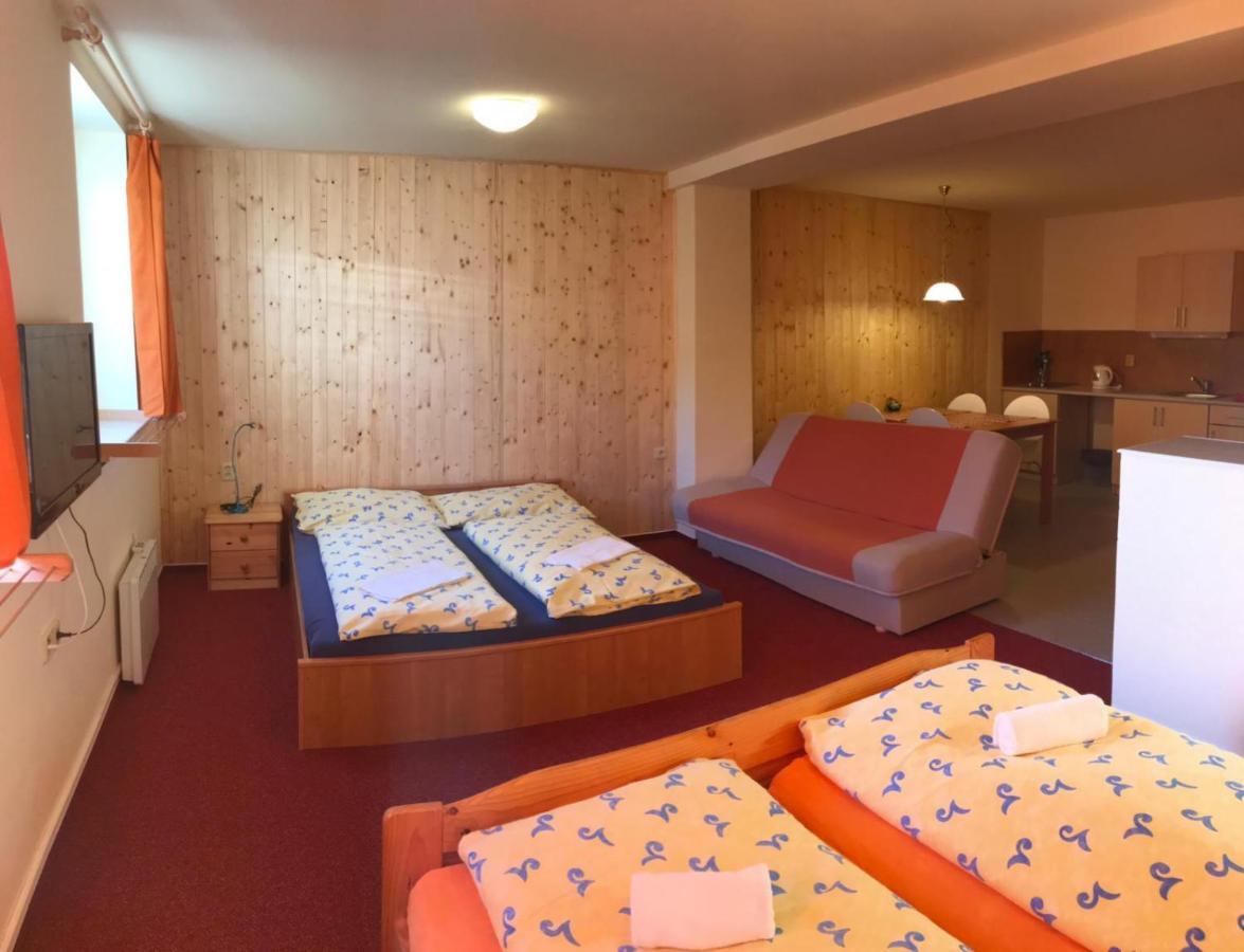 Studia Pod Lysou Apartman Rokytnice nad Jizerou Kültér fotó