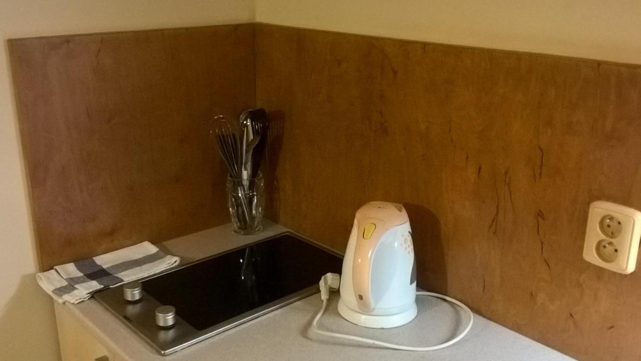 Studia Pod Lysou Apartman Rokytnice nad Jizerou Kültér fotó
